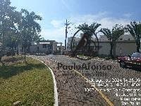 Imagem da propriedade N1411 5