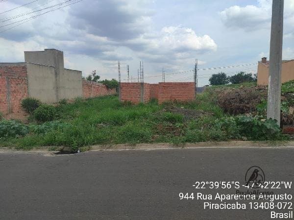 Imagem da propriedade N1411 19